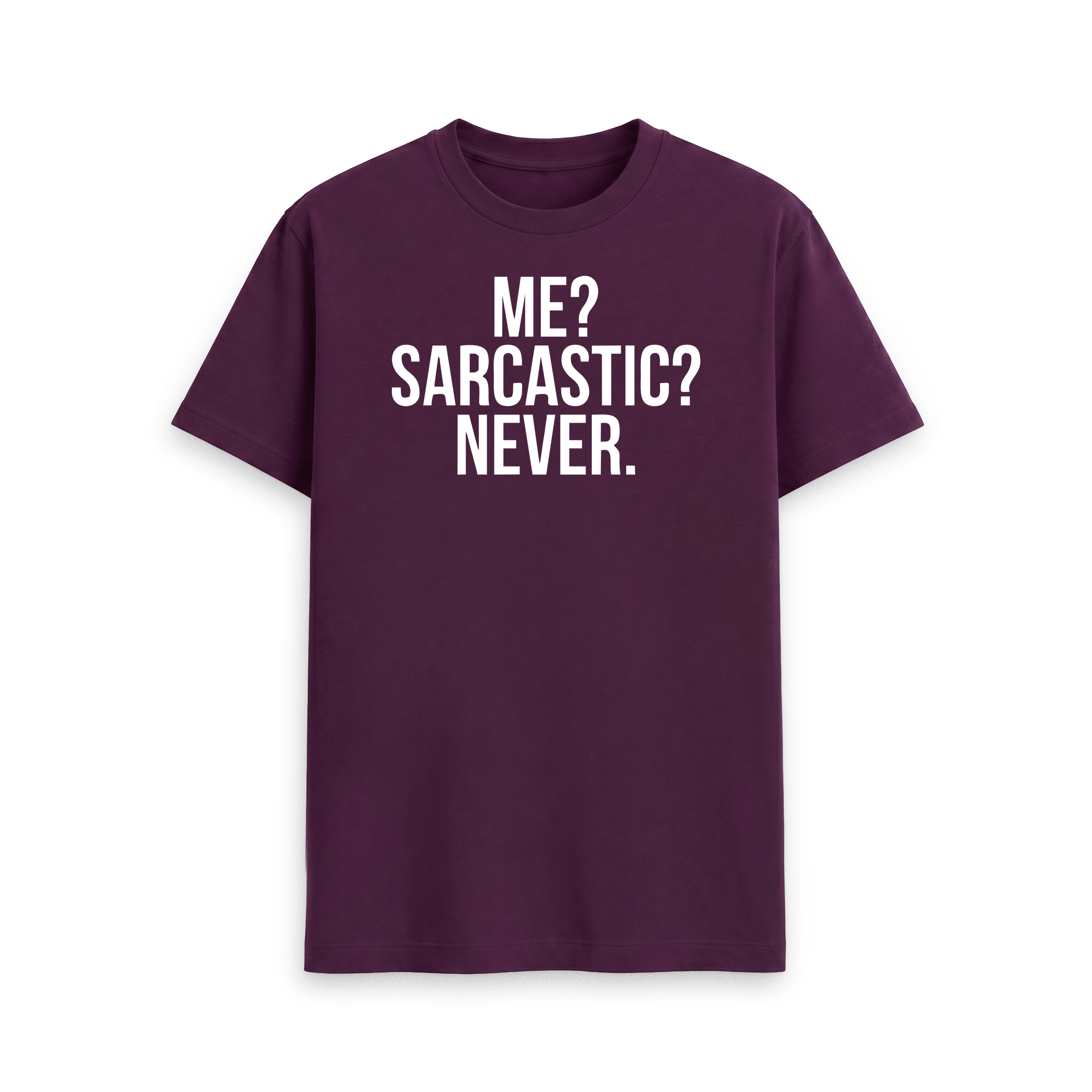 Me? Sarcastic? Never. - Image 26