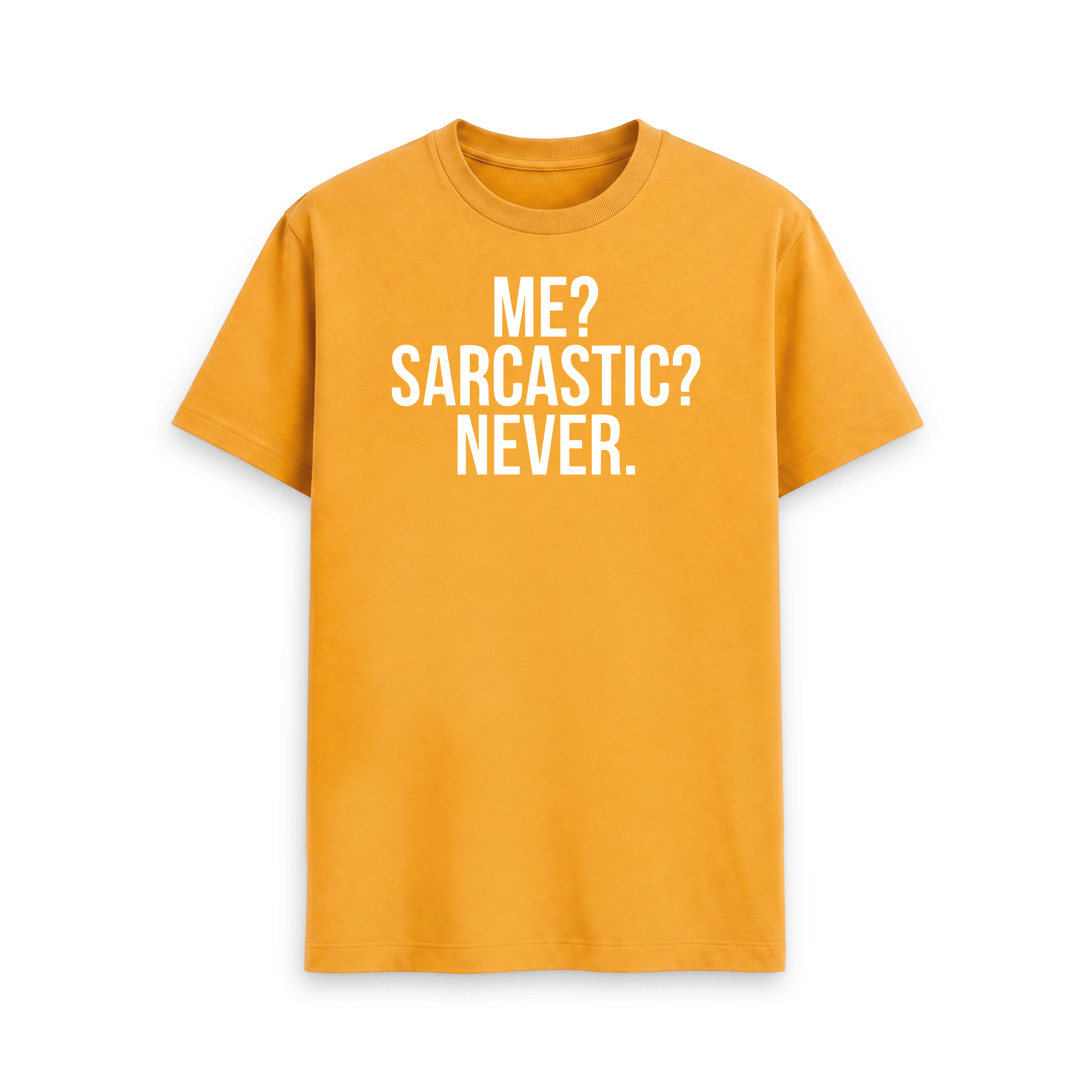 Me? Sarcastic? Never. - Image 22