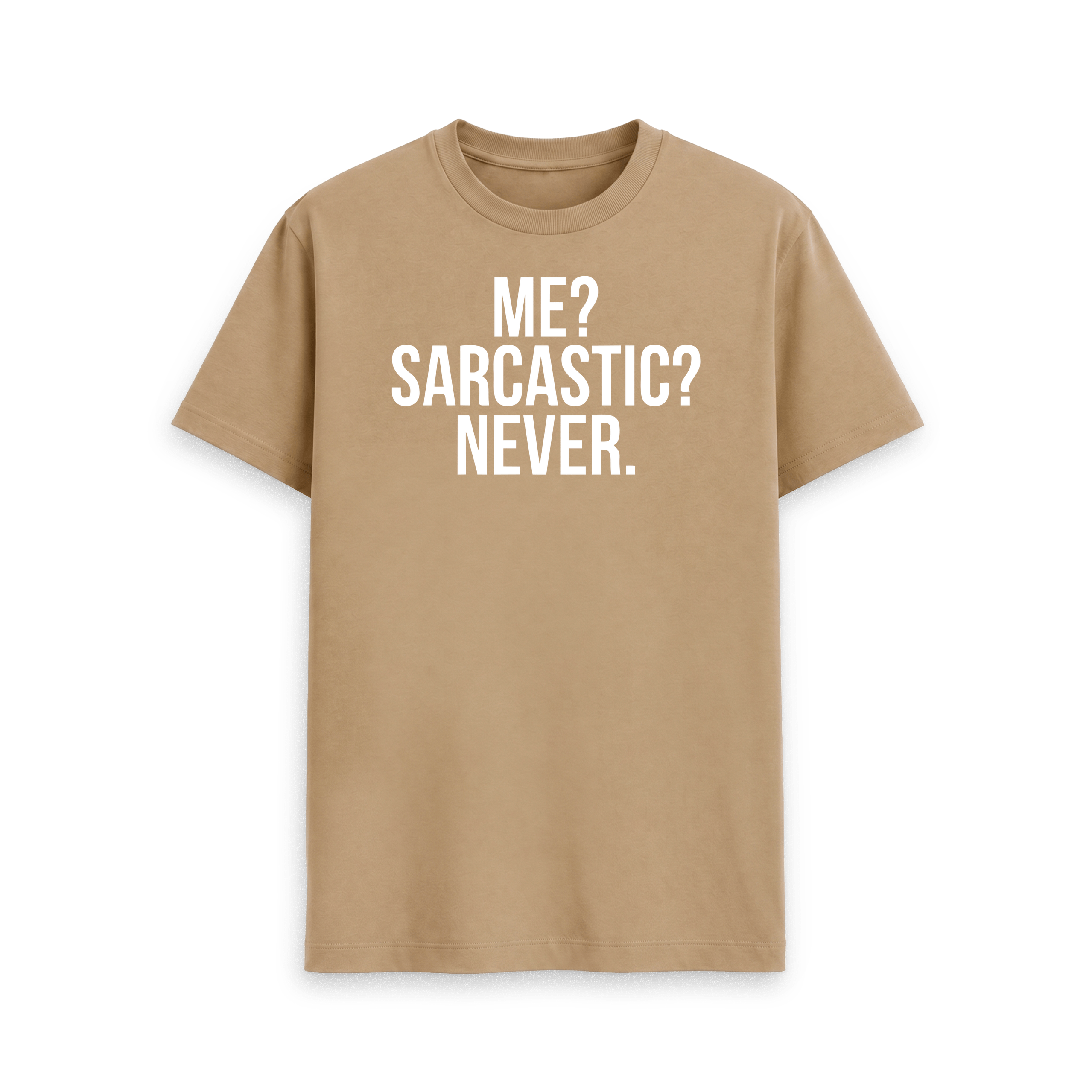 Me? Sarcastic? Never. - Image 24