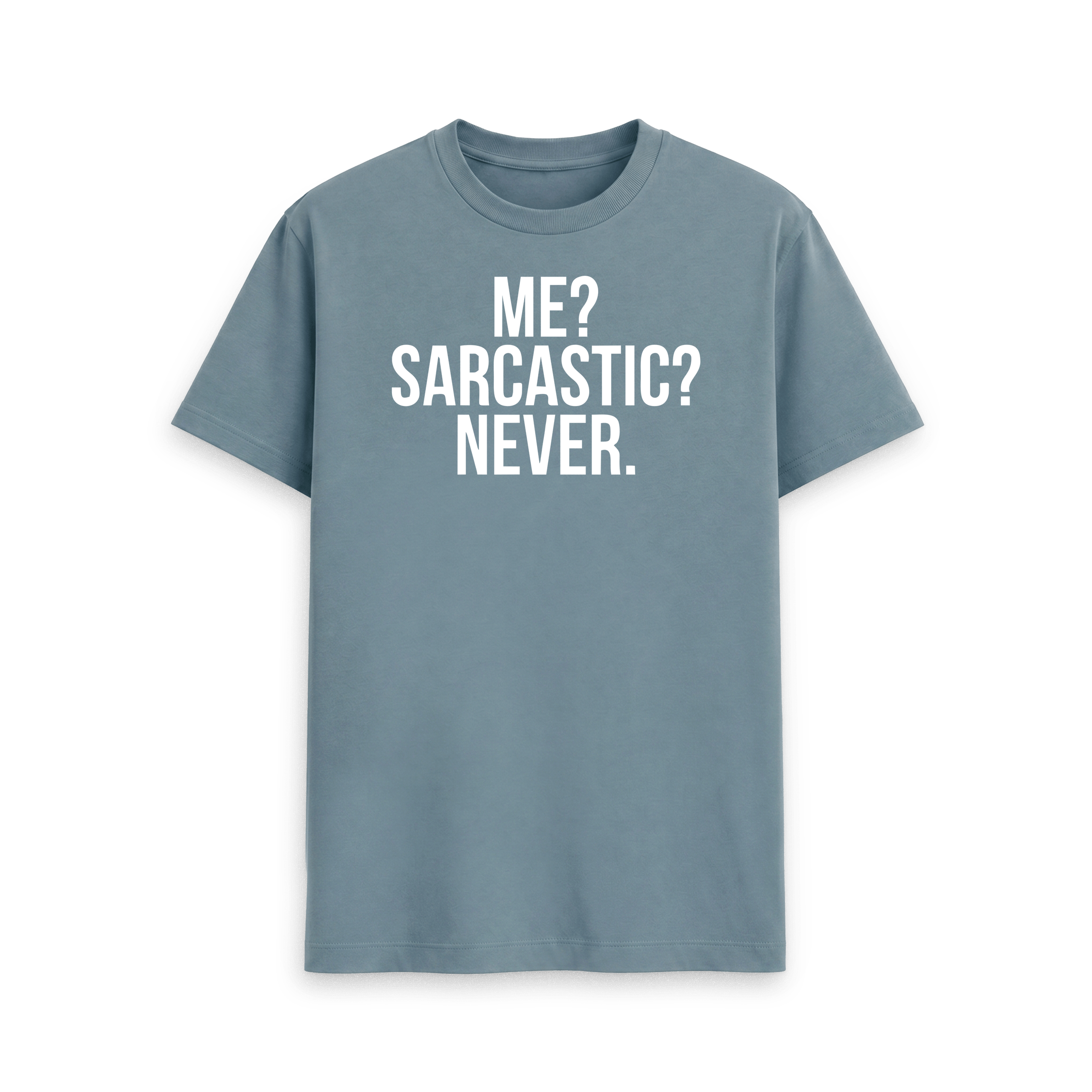 Me? Sarcastic? Never. - Image 17