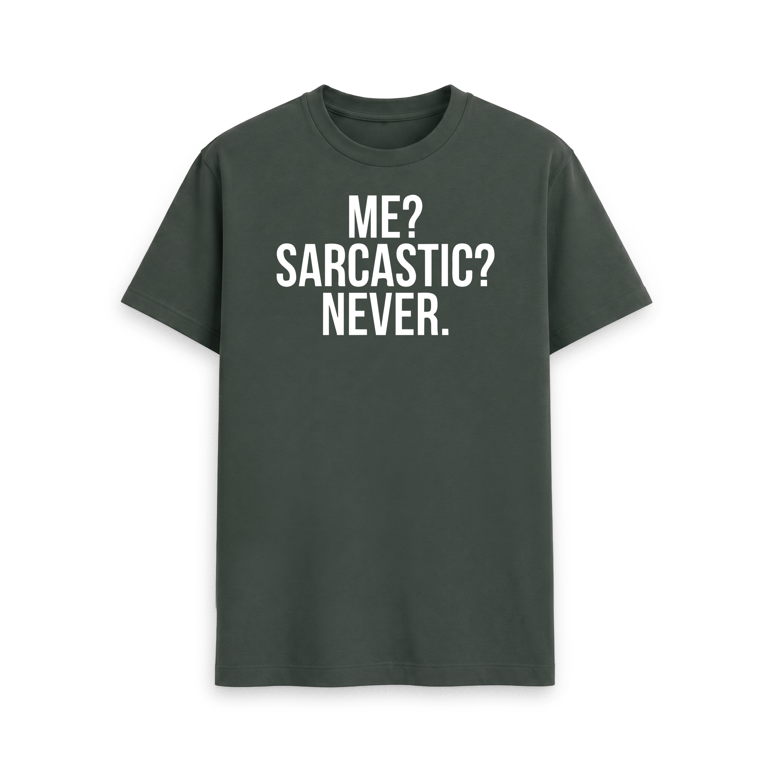 Me? Sarcastic? Never. - Image 25