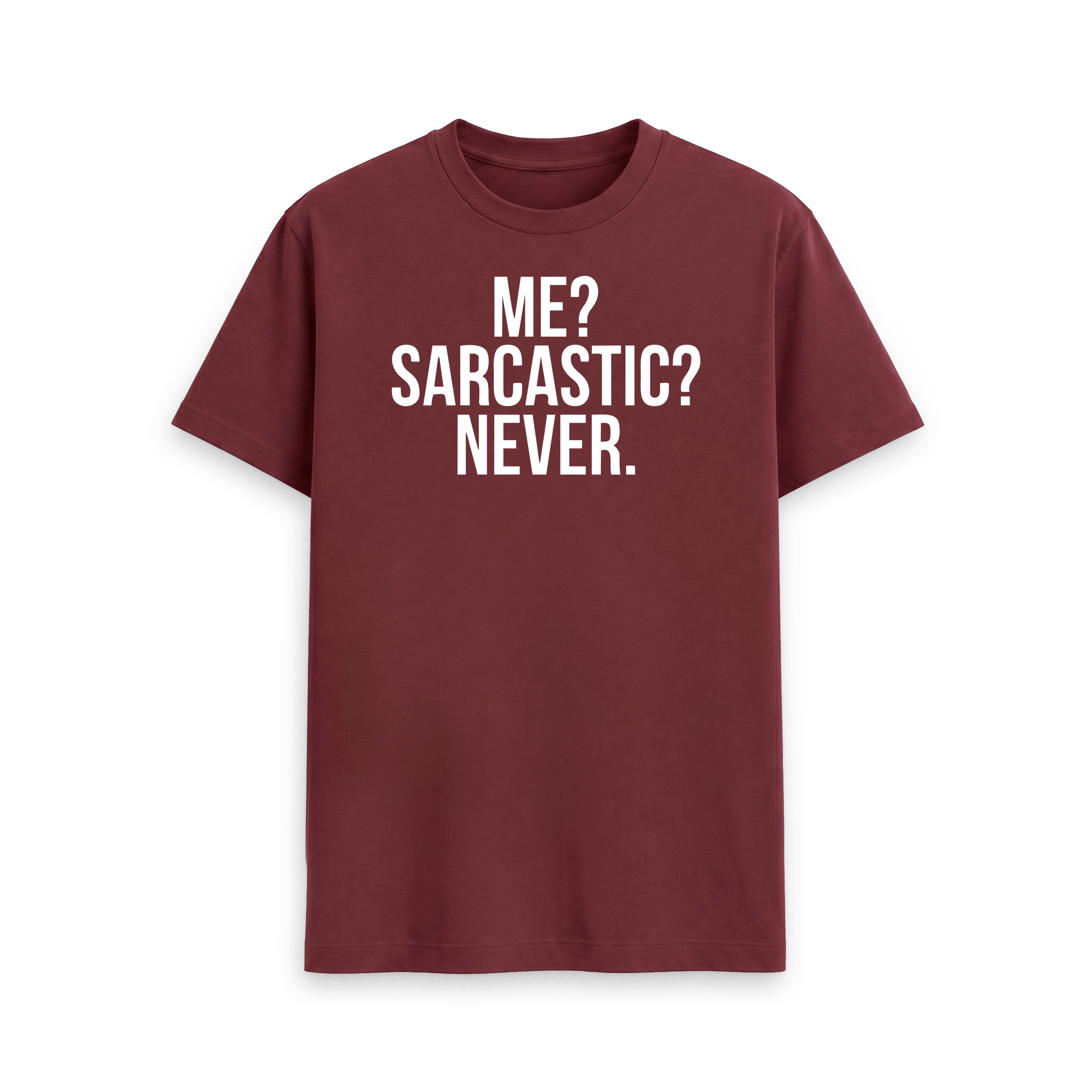 Me? Sarcastic? Never. - Image 29